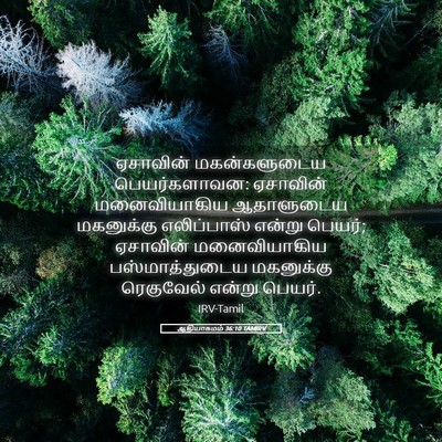 Picture 05 - ஆதியாகமம் 36:10 TAMIRV - ஏசாவின் - Bible Verse Picture