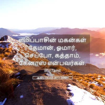 Picture 05 - ஆதியாகமம் 36:11 TAMIRV - எலிப்பாசின் - Bible Verse Picture
