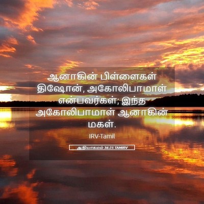 Picture 05 - ஆதியாகமம் 36:25 TAMIRV - ஆனாகின் பிள்ளைகள் - Bible Verse Picture