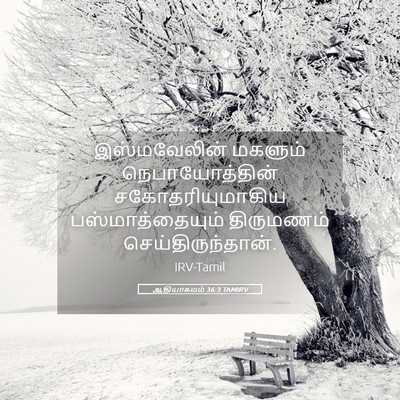 Picture 05 - ஆதியாகமம் 36:3 TAMIRV - இஸ்மவேலின் மகளும் - Bible Verse Picture