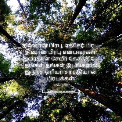 Picture 05 - ஆதியாகமம் 36:30 TAMIRV - திஷோன் பிரபு, - Bible Verse Picture