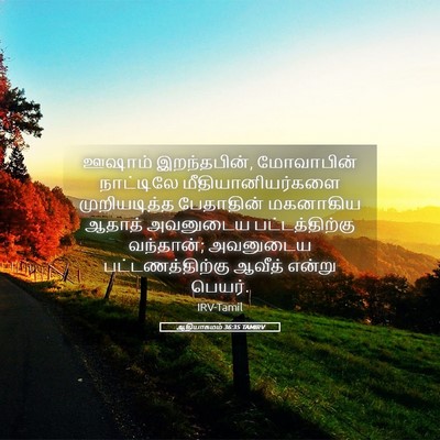 Picture 05 - ஆதியாகமம் 36:35 TAMIRV - ஊஷாம் இறந்தபின், - Bible Verse Picture