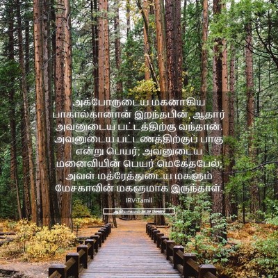 Picture 05 - ஆதியாகமம் 36:39 TAMIRV - அக்போருடைய - Bible Verse Picture