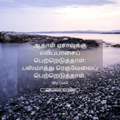 Picture 05 - ஆதியாகமம் 36:4 TAMIRV - ஆதாள் ஏசாவுக்கு - Bible Verse Picture