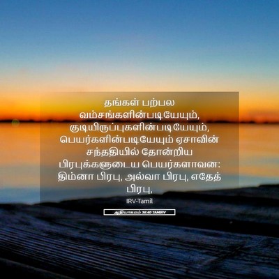 Picture 05 - ஆதியாகமம் 36:40 TAMIRV - தங்கள் பற்பல - Bible Verse Picture