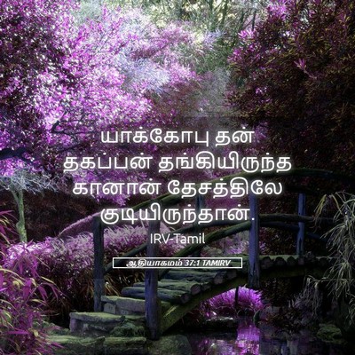 Picture 05 - ஆதியாகமம் 37:1 TAMIRV - யாக்கோபு தன் - Bible Verse Picture