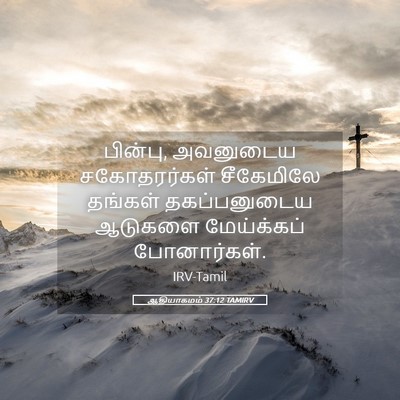 Picture 05 - ஆதியாகமம் 37:12 TAMIRV - பின்பு, அவனுடைய - Bible Verse Picture