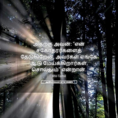 Picture 05 - ஆதியாகமம் 37:16 TAMIRV - அதற்கு அவன்: “என் - Bible Verse Picture