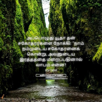 Picture 05 - ஆதியாகமம் 37:26 TAMIRV - அப்பொழுது யூதா - Bible Verse Picture