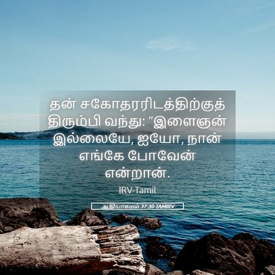 Picture 05 - ஆதியாகமம் 37:30 TAMIRV - தன் - Bible Verse Picture