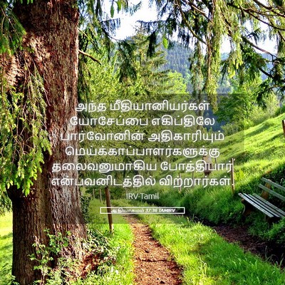 Picture 05 - ஆதியாகமம் 37:36 TAMIRV - அந்த - Bible Verse Picture