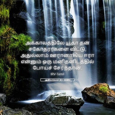 Picture 05 - ஆதியாகமம் 38:1 TAMIRV - அக்காலத்திலே யூதா - Bible Verse Picture
