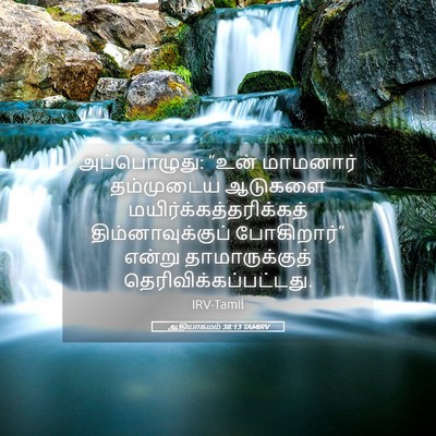 Picture 05 - ஆதியாகமம் 38:13 TAMIRV - அப்பொழுது: “உன் - Bible Verse Picture
