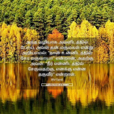 Picture 05 - ஆதியாகமம் 38:16 TAMIRV - அந்த வழியாக - Bible Verse Picture