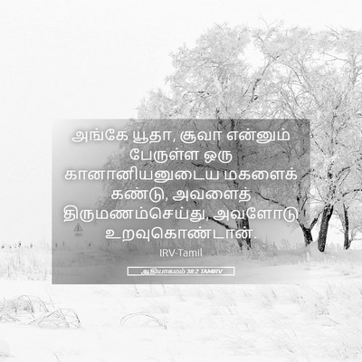 Picture 05 - ஆதியாகமம் 38:2 TAMIRV - அங்கே யூதா, சூவா - Bible Verse Picture