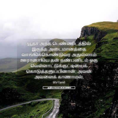Picture 05 - ஆதியாகமம் 38:20 TAMIRV - யூதா அந்த - Bible Verse Picture