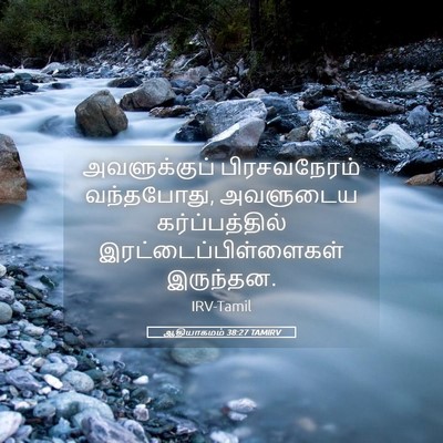 Picture 05 - ஆதியாகமம் 38:27 TAMIRV - அவளுக்குப் - Bible Verse Picture