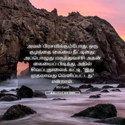 Picture 05 - ஆதியாகமம் 38:28 TAMIRV - அவள் - Bible Verse Picture