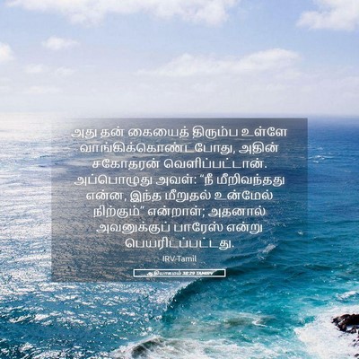 Picture 05 - ஆதியாகமம் 38:29 TAMIRV - அது தன் கையைத் - Bible Verse Picture