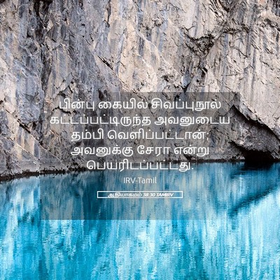 Picture 05 - ஆதியாகமம் 38:30 TAMIRV - பின்பு கையில் - Bible Verse Picture