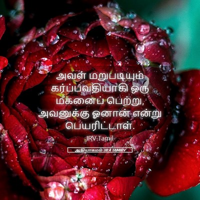 Picture 05 - ஆதியாகமம் 38:4 TAMIRV - அவள் மறுபடியும் - Bible Verse Picture