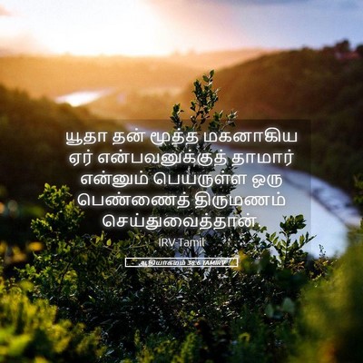 Picture 05 - ஆதியாகமம் 38:6 TAMIRV - யூதா தன் மூத்த - Bible Verse Picture