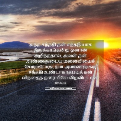 Picture 05 - ஆதியாகமம் 38:9 TAMIRV - அந்த சந்ததி தன் - Bible Verse Picture