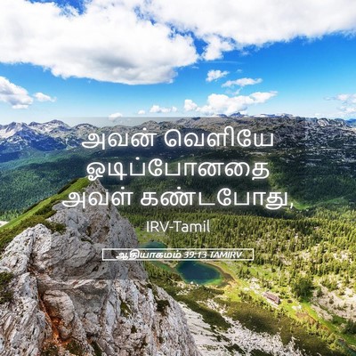 Picture 05 - ஆதியாகமம் 39:13 TAMIRV - அவன் வெளியே - Bible Verse Picture