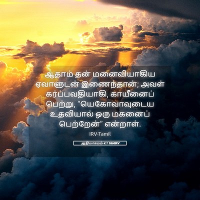 Picture 05 - ஆதியாகமம் 4:1 TAMIRV - ஆதாம் தன் - Bible Verse Picture