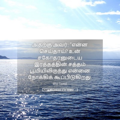 Picture 05 - ஆதியாகமம் 4:10 TAMIRV - அதற்கு அவர்: “என்ன - Bible Verse Picture