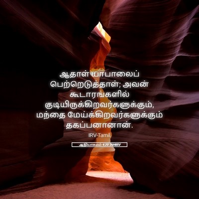 Picture 05 - ஆதியாகமம் 4:20 TAMIRV - ஆதாள் யாபாலைப் - Bible Verse Picture