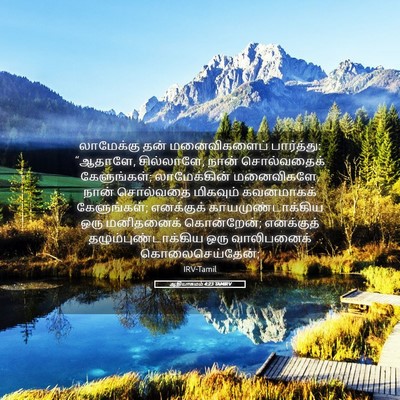 Picture 05 - ஆதியாகமம் 4:23 TAMIRV - லாமேக்கு தன் - Bible Verse Picture