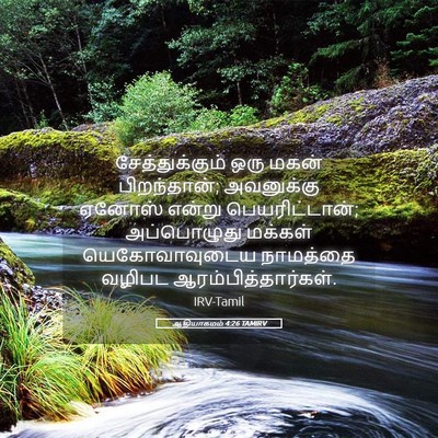 Picture 05 - ஆதியாகமம் 4:26 TAMIRV - சேத்துக்கும் ஒரு - Bible Verse Picture