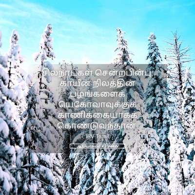 Picture 05 - ஆதியாகமம் 4:3 TAMIRV - சிலநாட்கள் - Bible Verse Picture