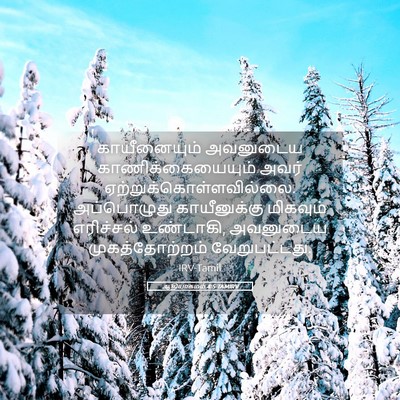 Picture 05 - ஆதியாகமம் 4:5 TAMIRV - காயீனையும் - Bible Verse Picture