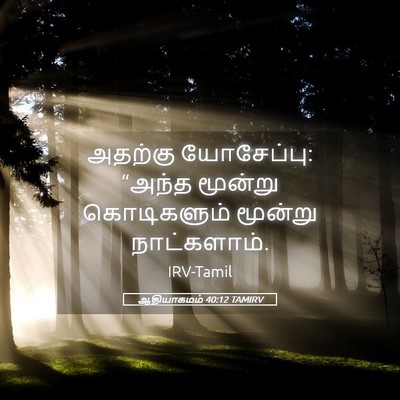 Picture 05 - ஆதியாகமம் 40:12 TAMIRV - அதற்கு யோசேப்பு: - Bible Verse Picture