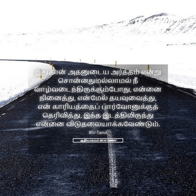 Picture 05 - ஆதியாகமம் 40:14 TAMIRV - இதுதான் அதனுடைய - Bible Verse Picture