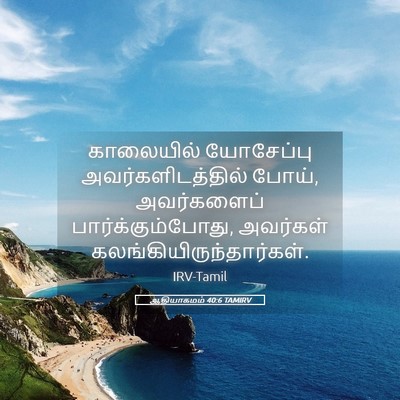 Picture 05 - ஆதியாகமம் 40:6 TAMIRV - காலையில் யோசேப்பு - Bible Verse Picture