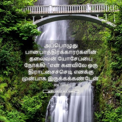 Picture 05 - ஆதியாகமம் 40:9 TAMIRV - அப்பொழுது - Bible Verse Picture