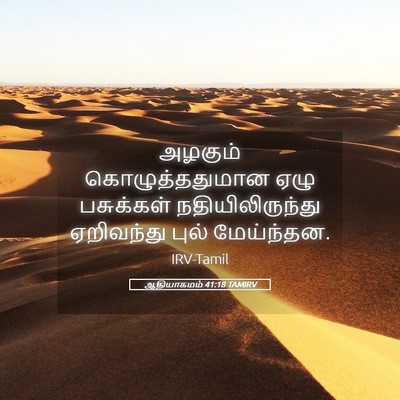 Picture 05 - ஆதியாகமம் 41:18 TAMIRV - அழகும் - Bible Verse Picture
