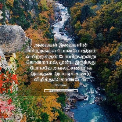 Picture 05 - ஆதியாகமம் 41:21 TAMIRV - அவைகள் இவைகளின் - Bible Verse Picture