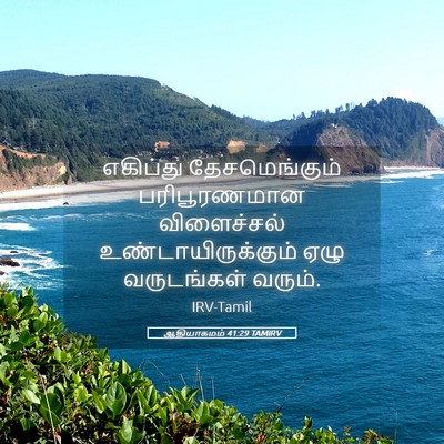 Picture 05 - ஆதியாகமம் 41:29 TAMIRV - எகிப்து - Bible Verse Picture