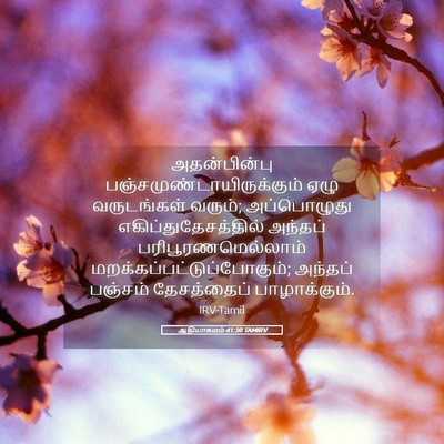 Picture 05 - ஆதியாகமம் 41:30 TAMIRV - அதன்பின்பு - Bible Verse Picture