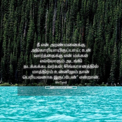 Picture 05 - ஆதியாகமம் 41:40 TAMIRV - நீ என் - Bible Verse Picture