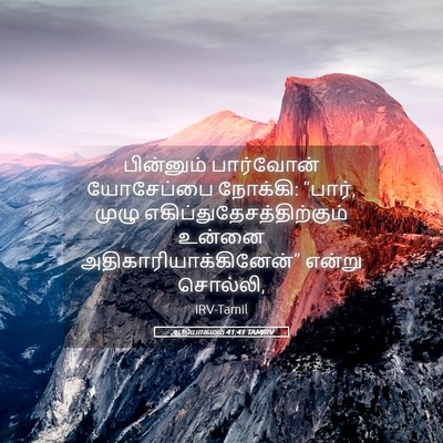 Picture 05 - ஆதியாகமம் 41:41 TAMIRV - பின்னும் பார்வோன் - Bible Verse Picture