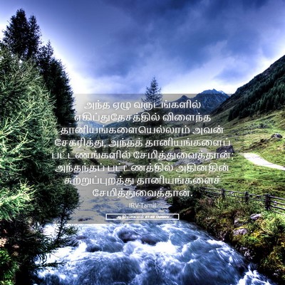 Picture 05 - ஆதியாகமம் 41:48 TAMIRV - அந்த ஏழு - Bible Verse Picture