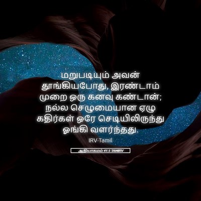 Picture 05 - ஆதியாகமம் 41:5 TAMIRV - மறுபடியும் அவன் - Bible Verse Picture