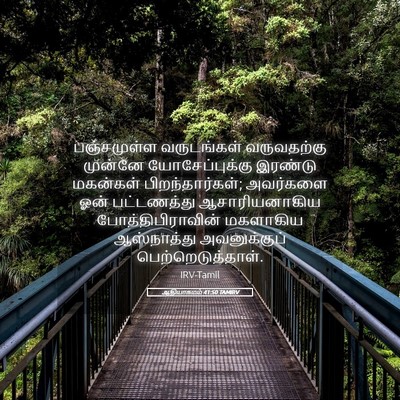 Picture 05 - ஆதியாகமம் 41:50 TAMIRV - பஞ்சமுள்ள - Bible Verse Picture