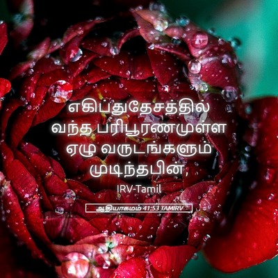 Picture 05 - ஆதியாகமம் 41:53 TAMIRV - எகிப்துதேசத்தில் - Bible Verse Picture