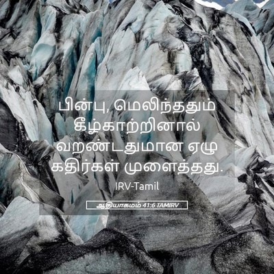 Picture 05 - ஆதியாகமம் 41:6 TAMIRV - பின்பு, - Bible Verse Picture